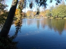 DSCN0534