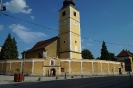DSC07365