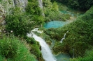 DSC07601