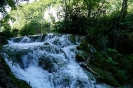 DSC07639