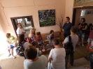 P1000537