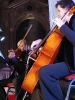 Koncert Alicji Majewskiej
